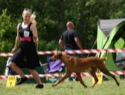 ECHO APAZO Folwark Zwierzecy