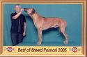 Jupiter of Parnassus Rhodesian Ridgeback