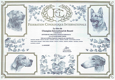 Interchampion