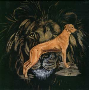Historia Rasy Rhodesian Ridgeback