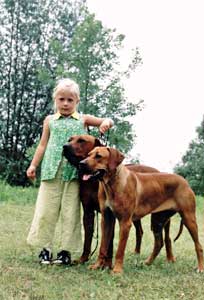 Rhodesian Ridgeback