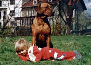 Rhodesian Ridgeback