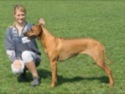 SETHA APATO Folwark Zwierzecy