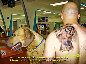 Matabo Mozi Folwark Zwierzęcy